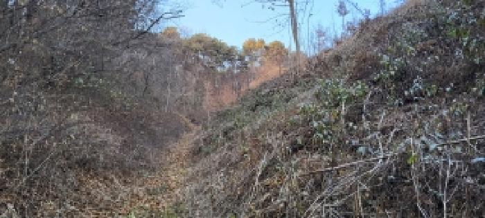 경기도 파주시 파주읍 봉암리 산124-5 임야 경매 사진 8