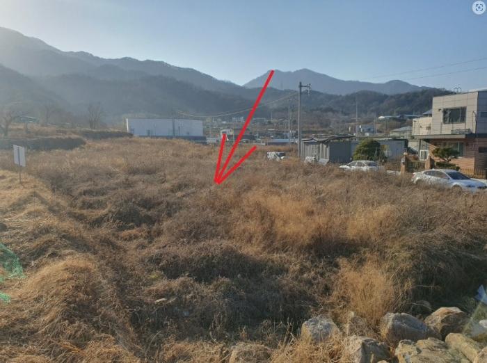 경상북도 칠곡군 북삼읍 어로리 427-5 답 경매 사진 14