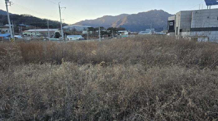 경상북도 칠곡군 북삼읍 어로리 427-5 답 경매 사진 16