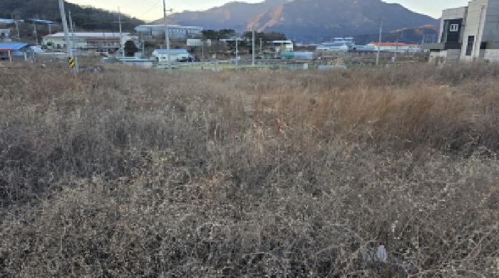 경상북도 칠곡군 북삼읍 어로리 427-5 답 경매 사진 17