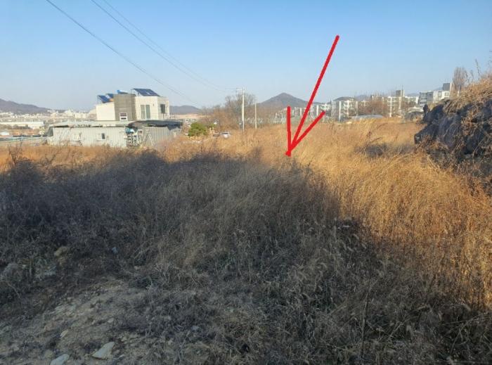경상북도 칠곡군 북삼읍 어로리 427-5 답 경매 사진 2