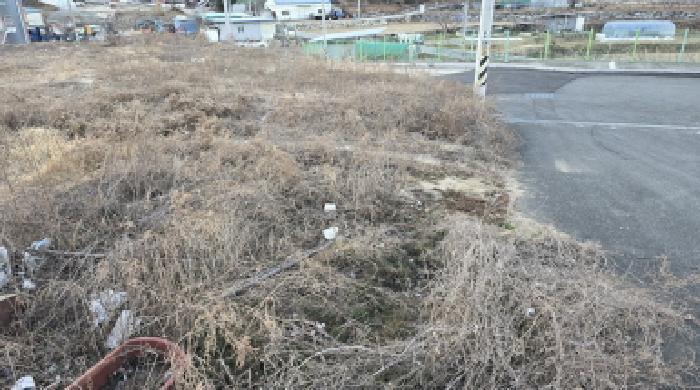 경상북도 칠곡군 북삼읍 어로리 427-5 답 경매 사진 31