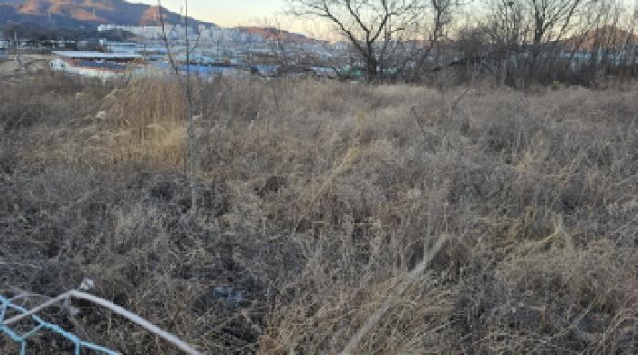 경상북도 칠곡군 북삼읍 어로리 427-5 답 경매 사진 37