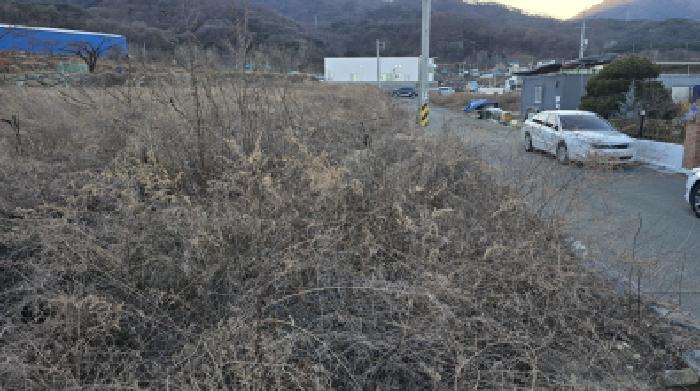 경상북도 칠곡군 북삼읍 어로리 427-5 답 경매 사진 39