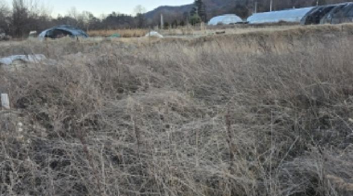 경상북도 칠곡군 북삼읍 어로리 427-5 답 경매 사진 41