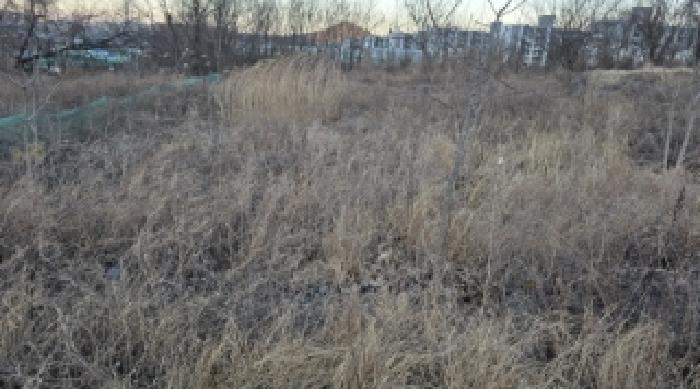 경상북도 칠곡군 북삼읍 어로리 427-5 답 경매 사진 44