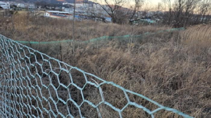 경상북도 칠곡군 북삼읍 어로리 427-5 답 경매 사진 45
