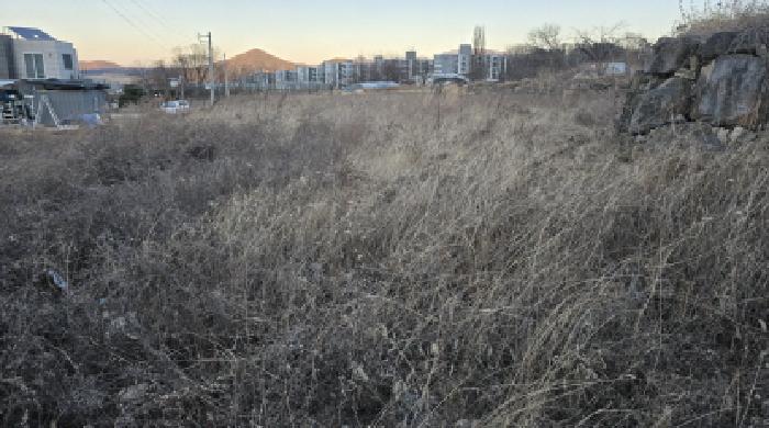 경상북도 칠곡군 북삼읍 어로리 427-5 답 경매 사진 60