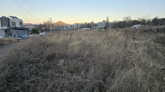 경상북도 칠곡군 북삼읍 어로리 427-5 답 경매 사진 62