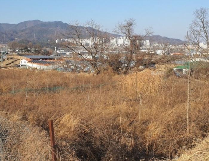 경상북도 칠곡군 북삼읍 어로리 427-5 답 경매 사진 7