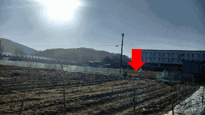 세종특별자치시 부강면 갈산리 320-2 답 경매 사진 25