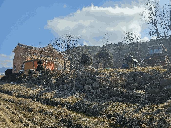 충청남도 보령시 내항동 917-10 대지 경매 사진 3