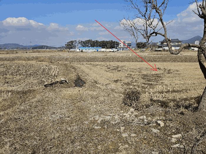 충청남도 보령시 내항동 917-10 대지 경매 사진 5