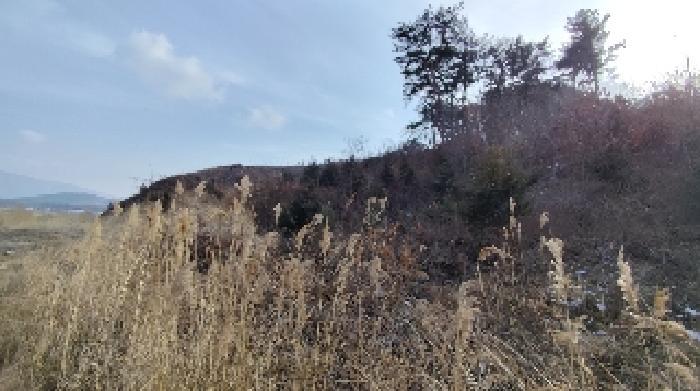 충청남도 보령시 내항동 산59-7 임야 경매 사진 13