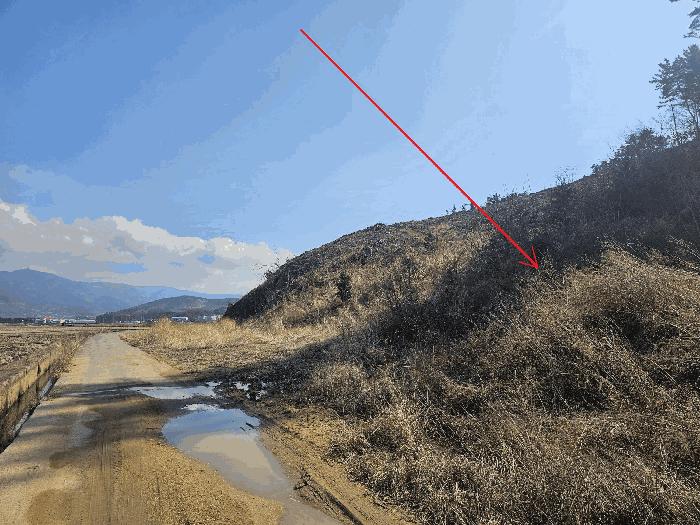 충청남도 보령시 내항동 산59-7 임야 경매 사진 4