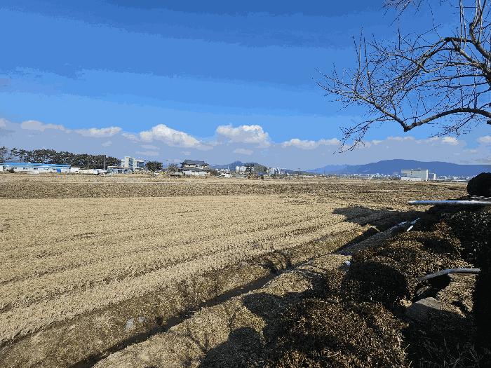 충청남도 보령시 내항동 산59-7 임야 경매 사진 8