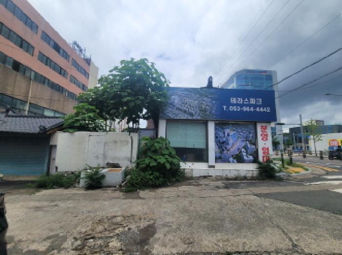 대구광역시 동구 신기동 174-7 상가 경매 사진 19