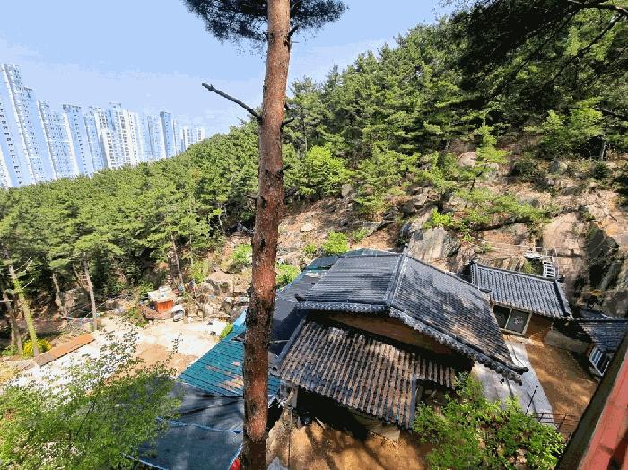 부산 사상구 임야