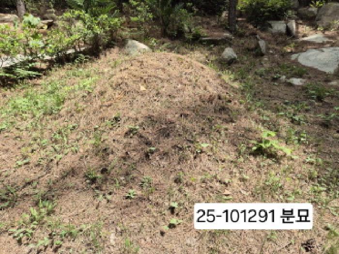 부산광역시 사상구 모라동 산91 임야 경매 사진 11