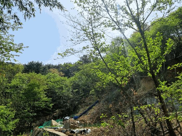 부산광역시 사상구 모라동 산91 임야 경매 사진 13