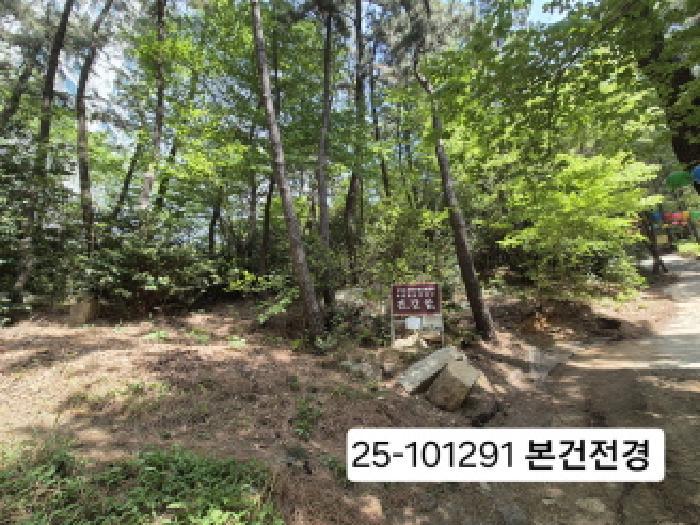 부산광역시 사상구 모라동 산91 임야 경매 사진 7