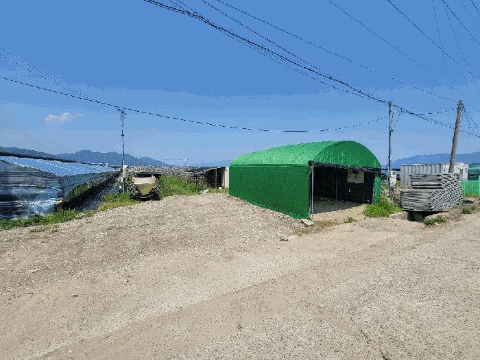 부산광역시 강서구 강동동 498-5 답 경매 사진 3