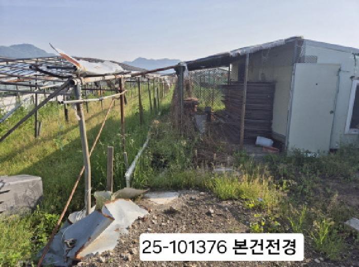 부산광역시 강서구 강동동 498-5 답 경매 사진 6