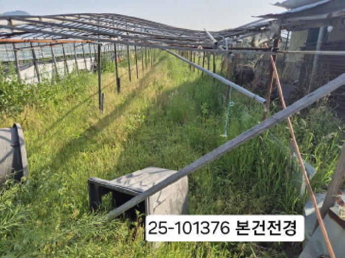 부산광역시 강서구 강동동 498-5 답 경매 사진 7