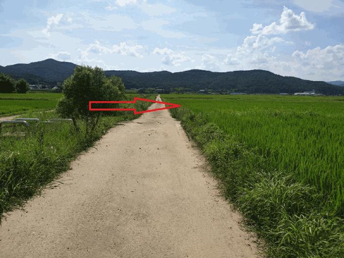 경상북도 경주시 천북면 덕산리 156 답 경매 사진 2