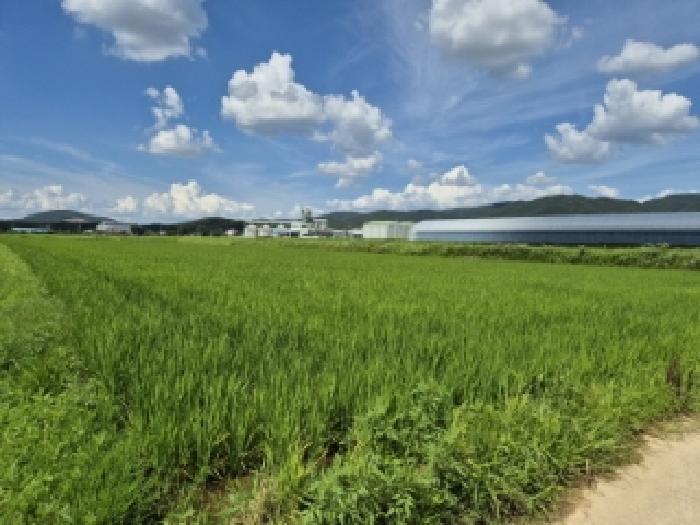 경상북도 경주시 천북면 덕산리 156 답 경매 사진 4