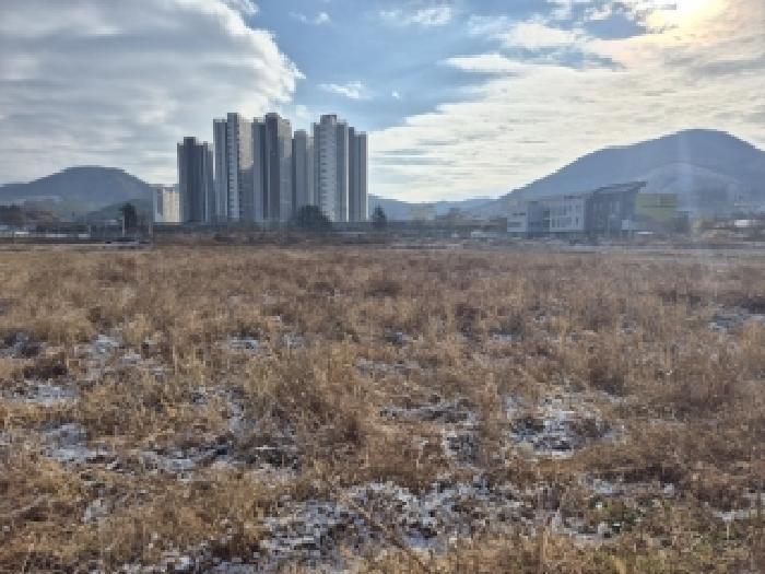 전라남도 장성군 장성읍 영천리 1484-4 답 경매 사진 2