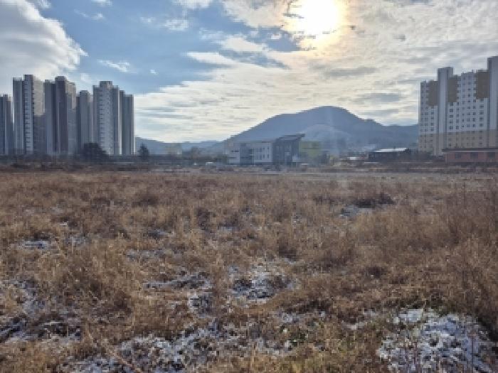 전라남도 장성군 장성읍 영천리 1484-4 답 경매 사진 3