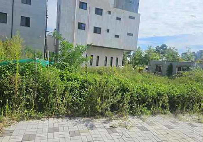경기도 평택시 고덕동 2576-1 대지 경매 사진 6