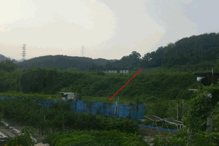 경상북도 경주시 양남면 상계리 235 답 경매 사진 2