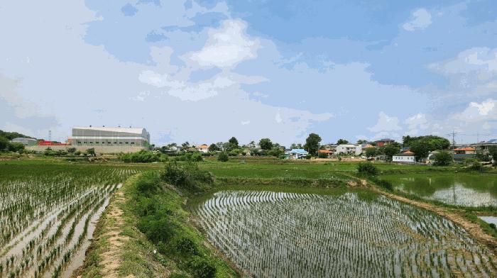 충청남도 아산시 둔포면 신남리 459-1 답 경매 사진 1