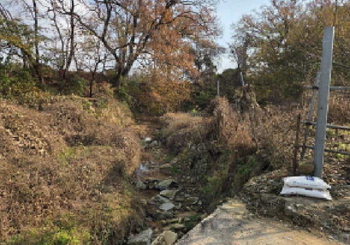충청남도 아산시 영인면 상성리 91-4 임야 경매 사진 10