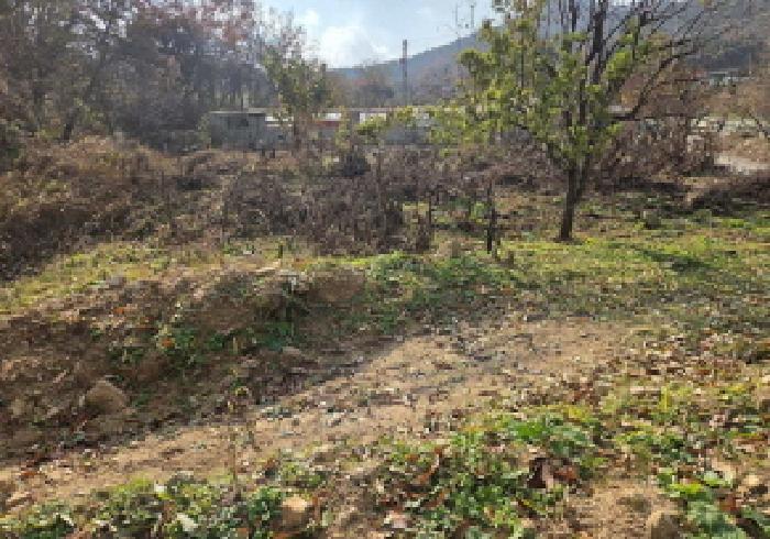 충청남도 아산시 영인면 상성리 91-4 임야 경매 사진 15