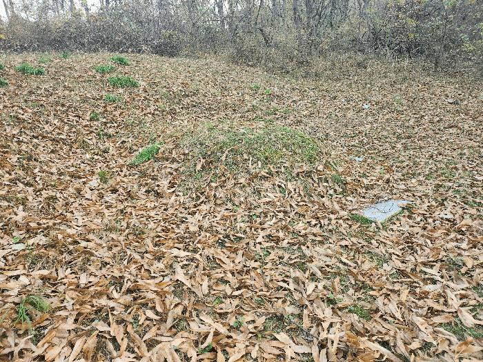 충청남도 아산시 영인면 상성리 91-4 임야 경매 사진 8