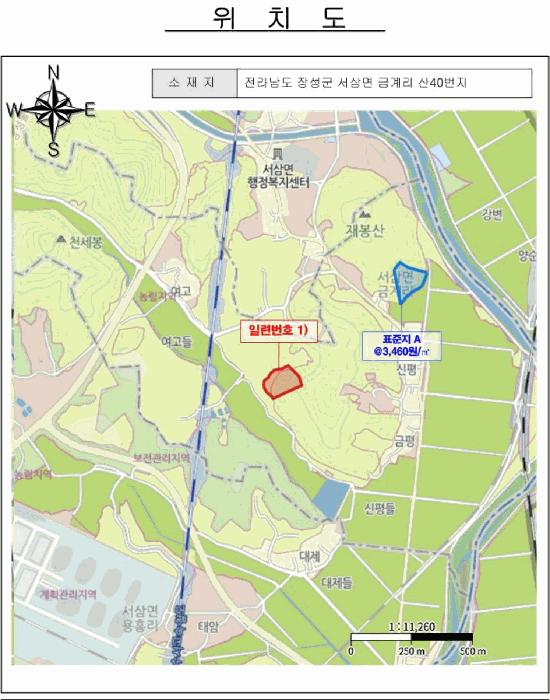 전라남도 장성군 서삼면 금계리 산40 임야 경매 사진 11