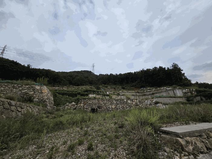 경상남도 창원시 진해구 두동 산297-28 임야 경매 사진 1