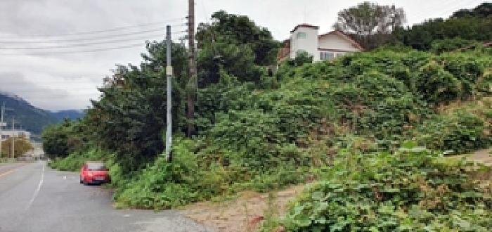 경상남도 창원시 진해구 두동 산297-28 임야 경매 사진 10