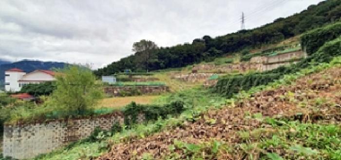경상남도 창원시 진해구 두동 산297-28 임야 경매 사진 11