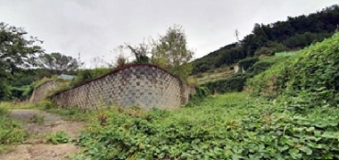 경상남도 창원시 진해구 두동 산297-28 임야 경매 사진 12