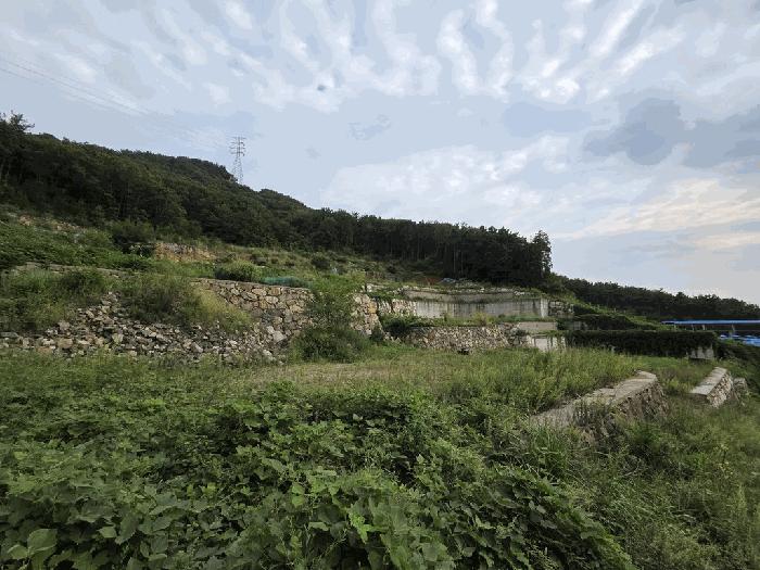 경상남도 창원시 진해구 두동 산297-28 임야 경매 사진 3