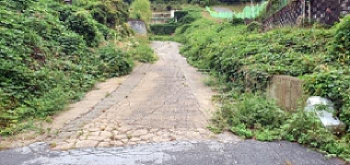 경상남도 창원시 진해구 두동 산297-28 임야 경매 사진 8