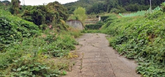 경상남도 창원시 진해구 두동 산297-28 임야 경매 사진 9