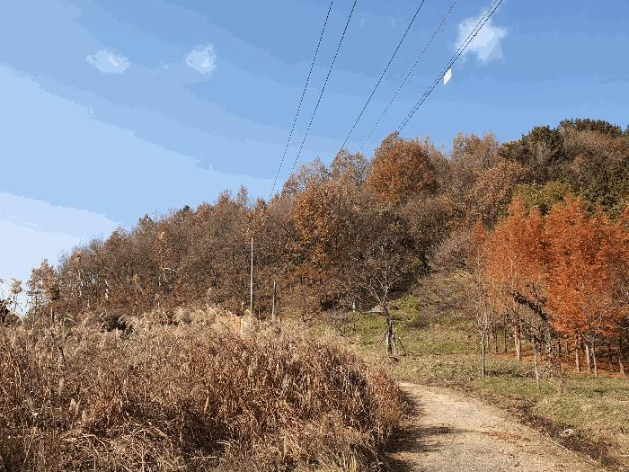 광주 북구 전