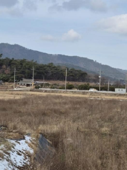전라남도 영광군 백수읍 논산리 364-8 답 경매 사진 4
