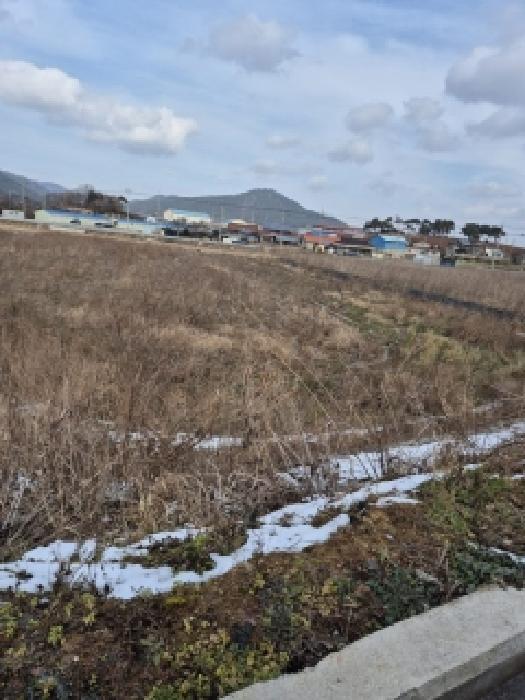 전라남도 영광군 백수읍 논산리 364-8 답 경매 사진 6