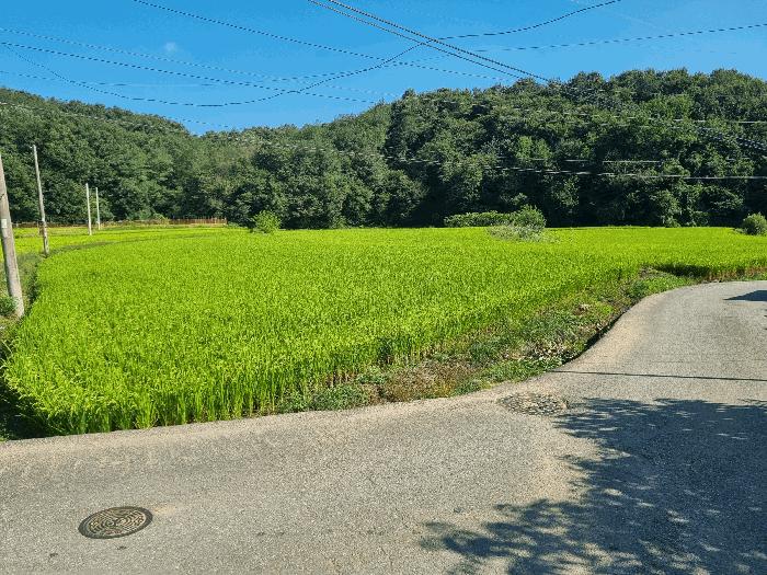 충청남도 천안시 동남구 광덕면 무학리 89-6 주택 경매 사진 1